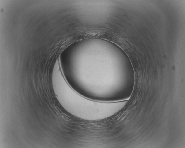 X0000062631394200512210926