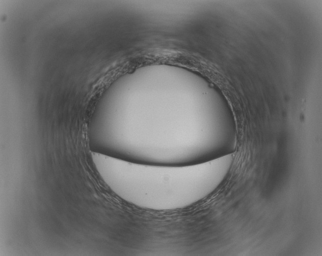 X0000062631397200512210926