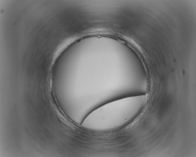 X0000062631413200512210926