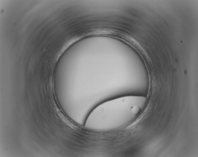 X0000062631417200512210926