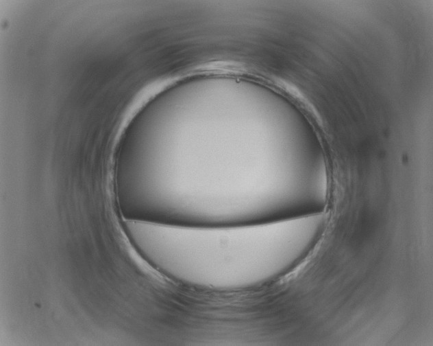 X0000062631421200512210926