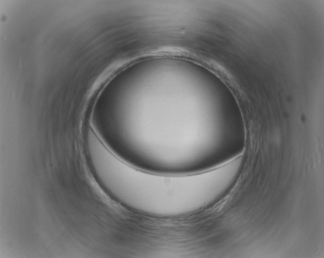 X0000062631422200512210926