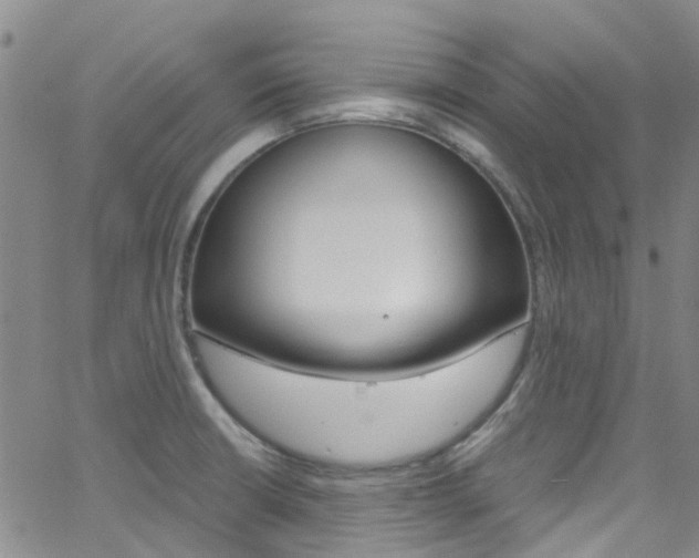 X0000062631426200512210926