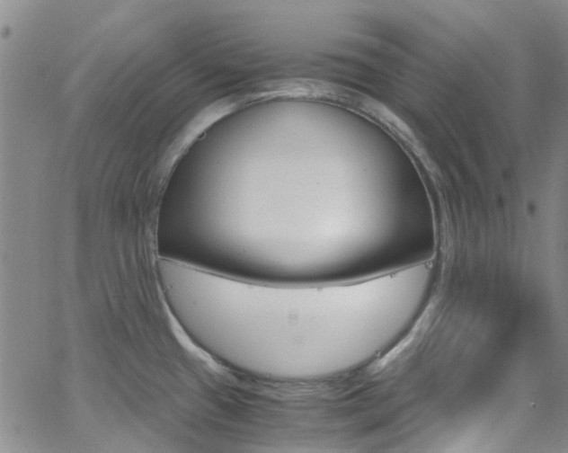 X0000062631433200512210926