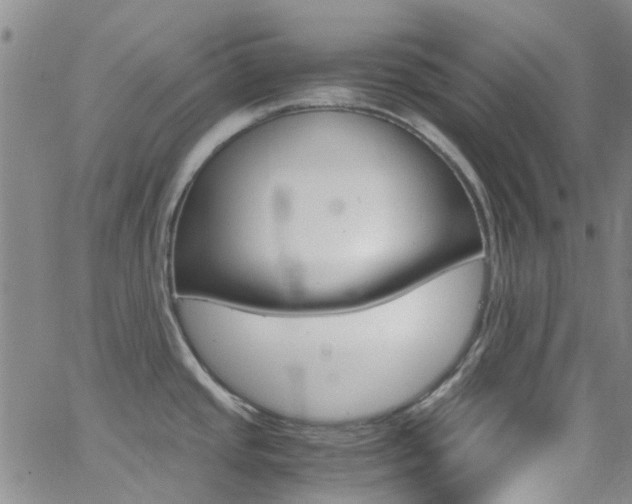 X0000062631437200512210927