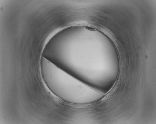 X0000062631440200512210927