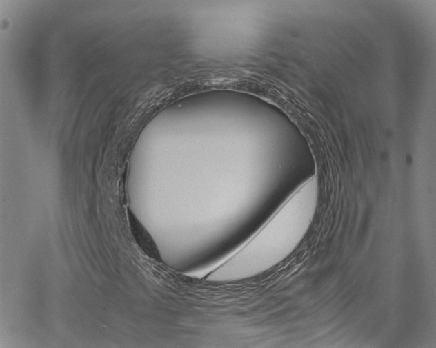 X0000062631441200512210926