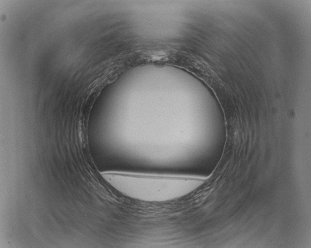 X0000062631442200512210926