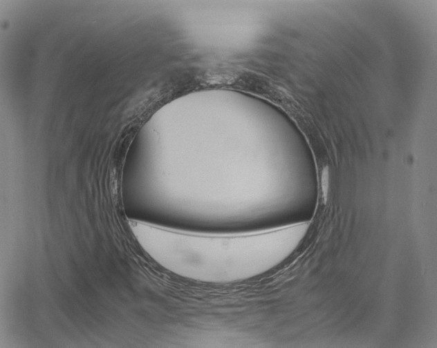 X0000062631443200512210926