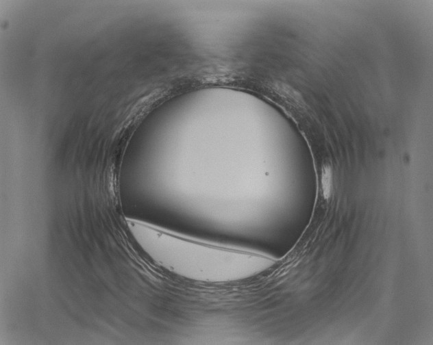 X0000062631444200512210926