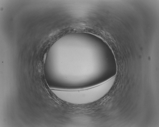 X0000062631445200512210926