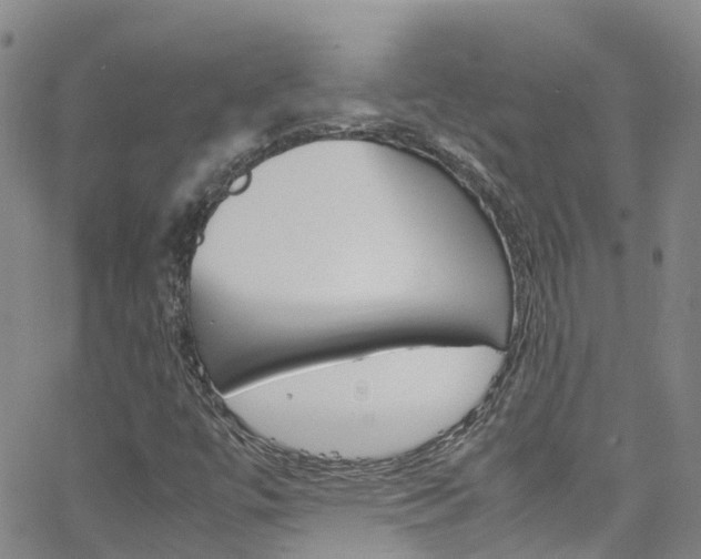 X0000062631447200512210926