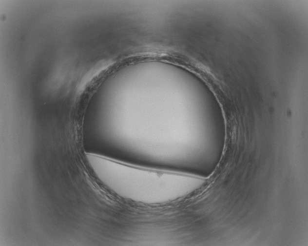 X0000062631448200512210926