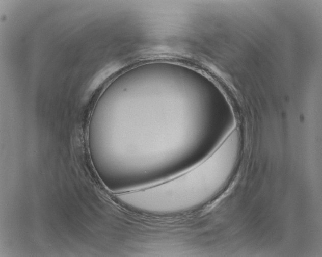 X0000062631453200512210926