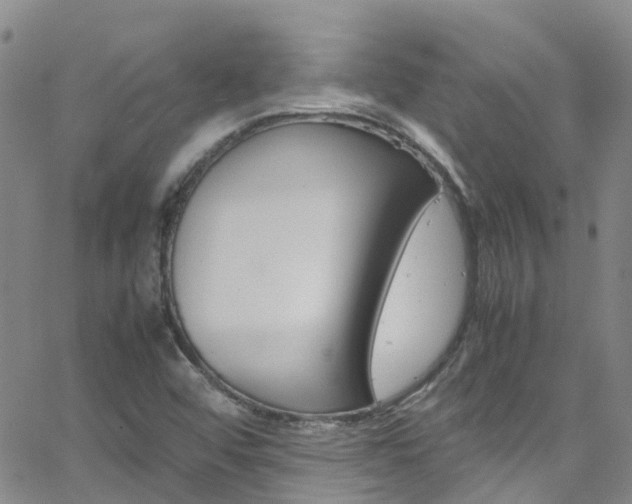 X0000062631456200512210926