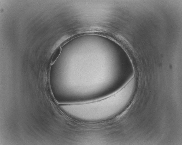X0000062631457200512210926