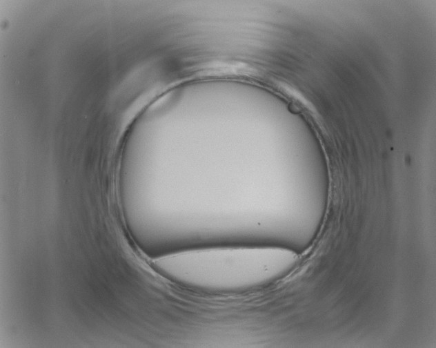 X0000062631467200512210925