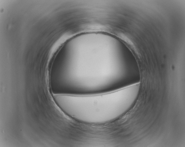 X0000062631472200512210925