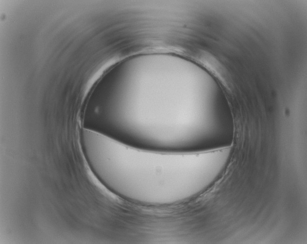 X0000062631476200512210925