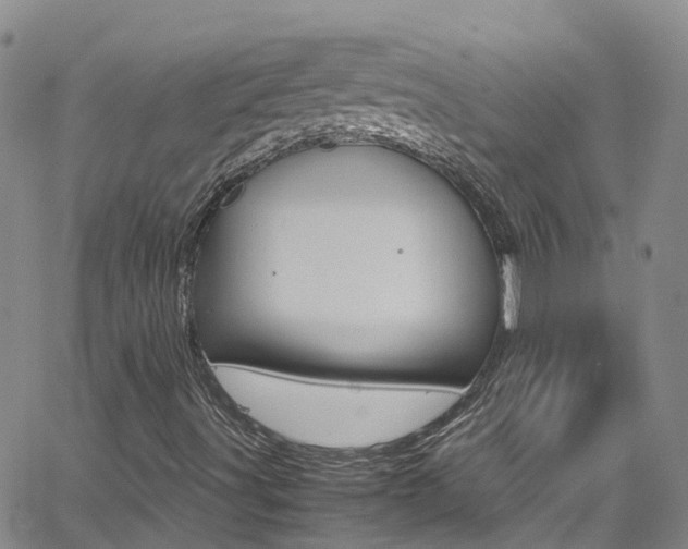 X0000062631491200512210924