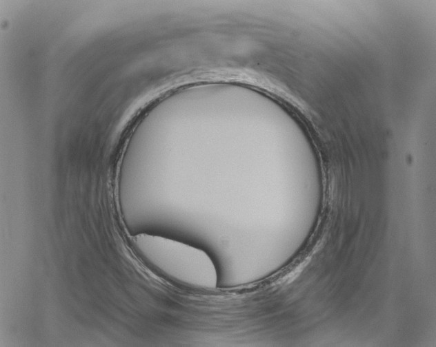 X0000062631498200512210924