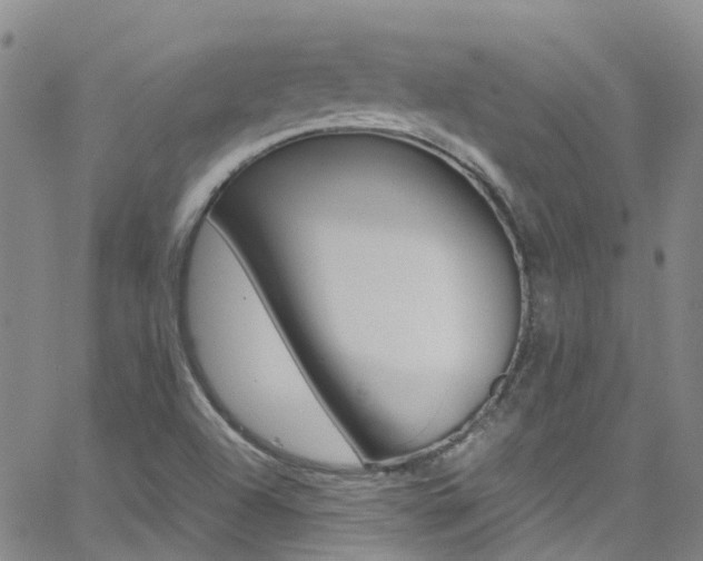 X0000062631504200512210924