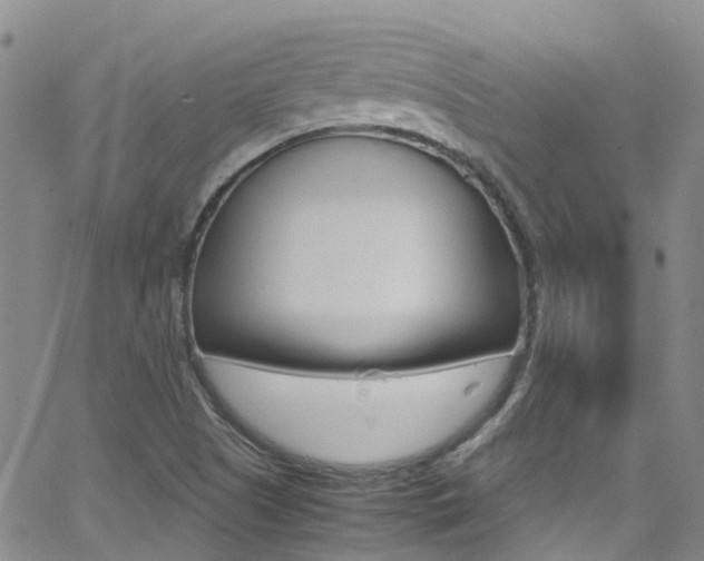 X0000062631505200512210924