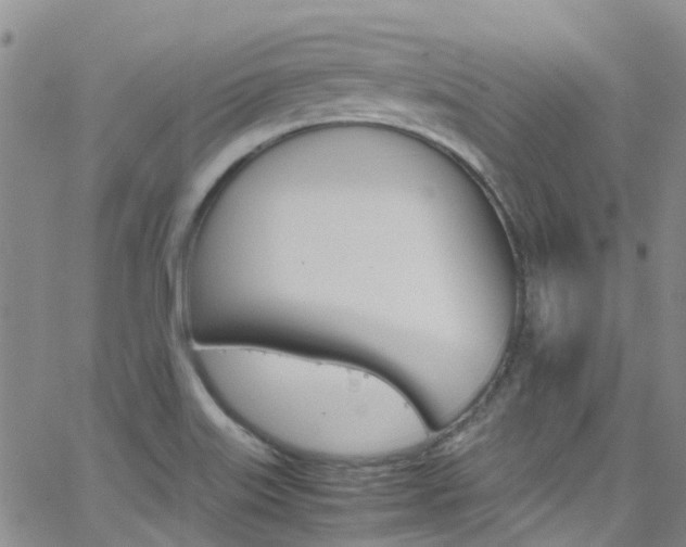 X0000062631515200512210925