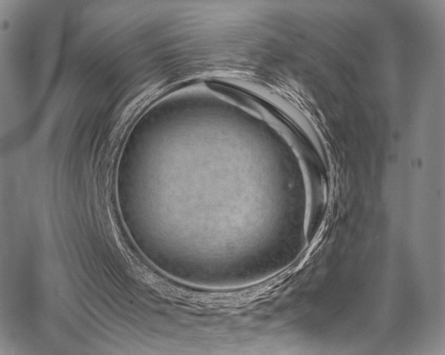 X0000062630001200512211241