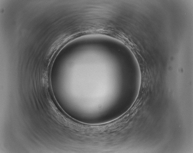 X0000062630002200512211241