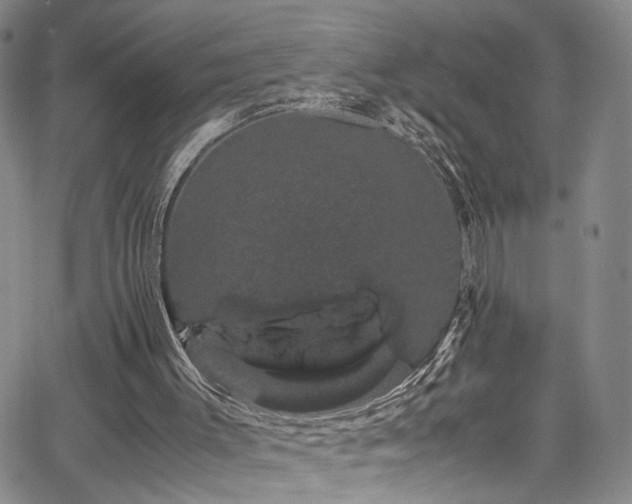 X0000062630003200512211241