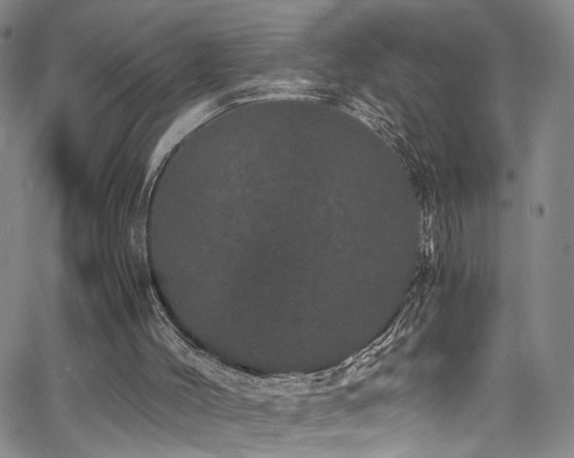 X0000062630004200512211241