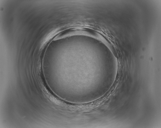 X0000062630005200512211241