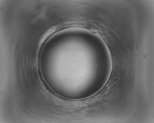 X0000062630006200512211241