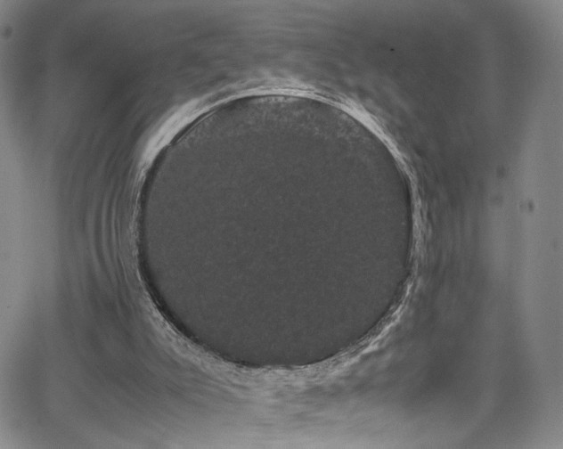 X0000062630007200512211241