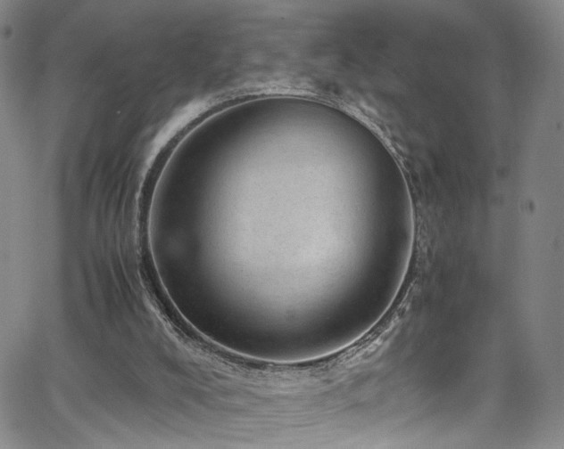 X0000062630008200512211241