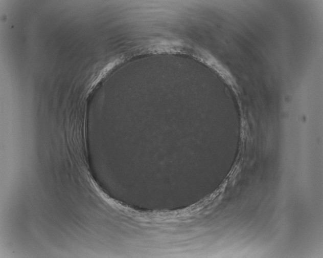 X0000062630009200512211241