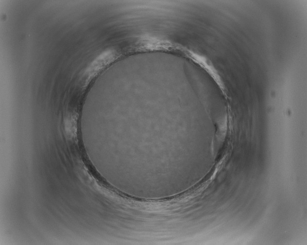 X0000062630010200512211241