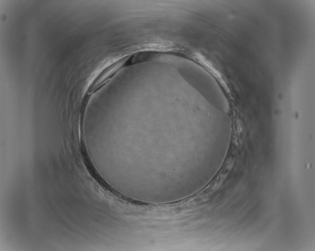 X0000062630011200512211241