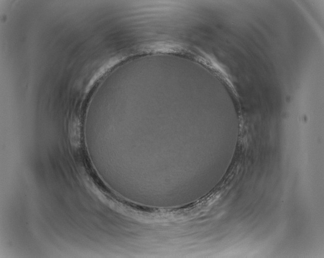 X0000062630012200512211241