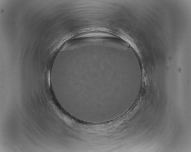 X0000062630013200512211241