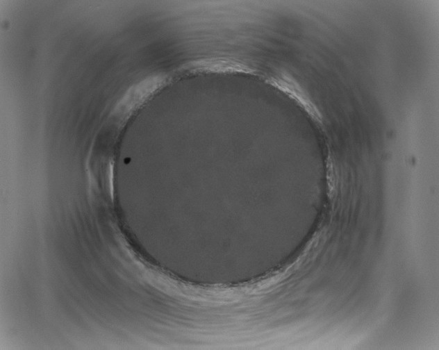 X0000062630014200512211241