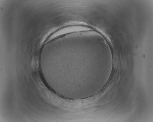 X0000062630015200512211241