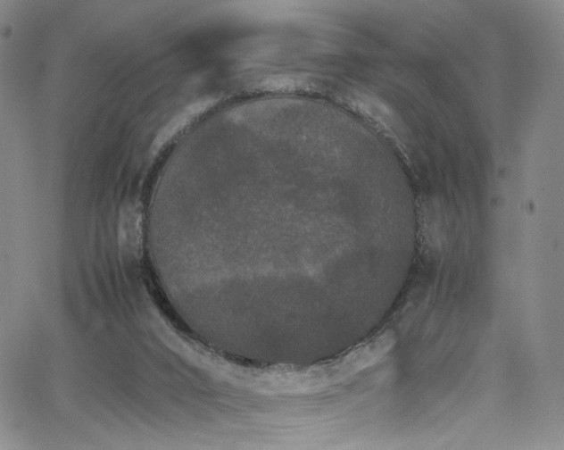 X0000062630016200512211241