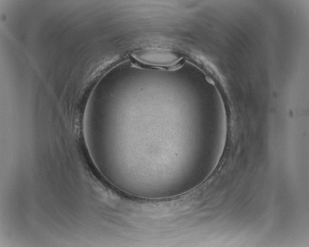 X0000062630017200512211241