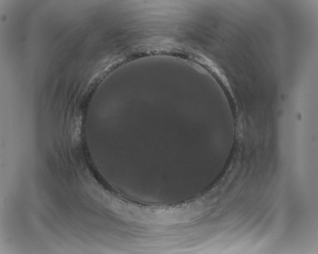 X0000062630018200512211241