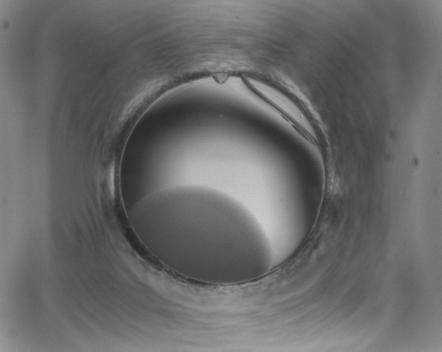 X0000062630019200512211241