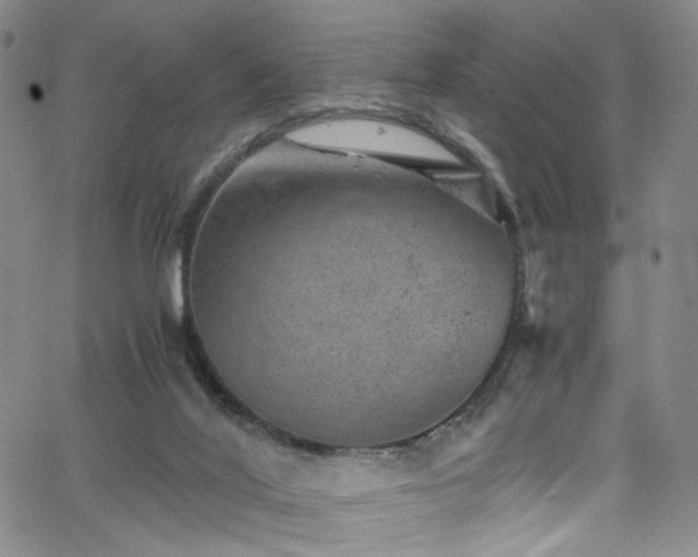 X0000062630020200512211241