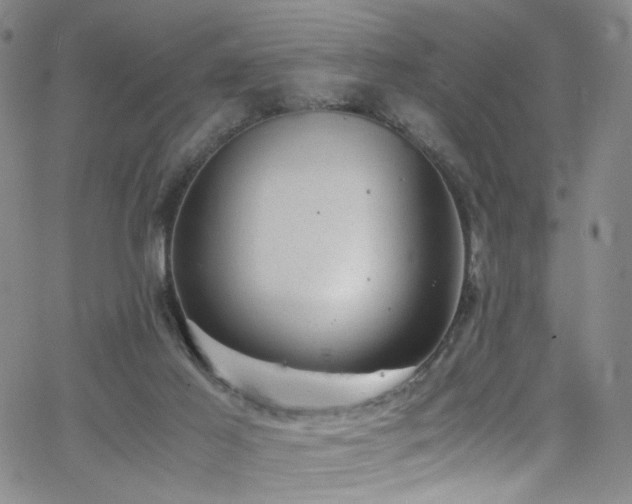 X0000062630021200512211241