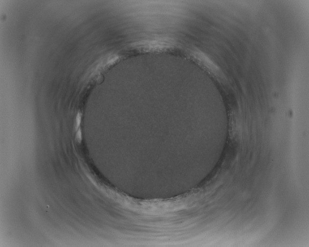 X0000062630022200512211241